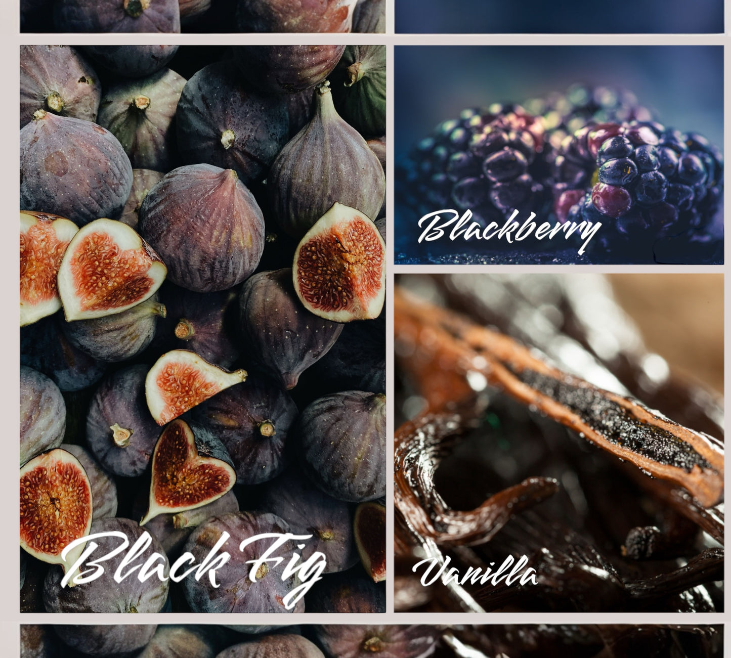 Duftkerze - Aromakerze - "Eve´s Fig Leaf“