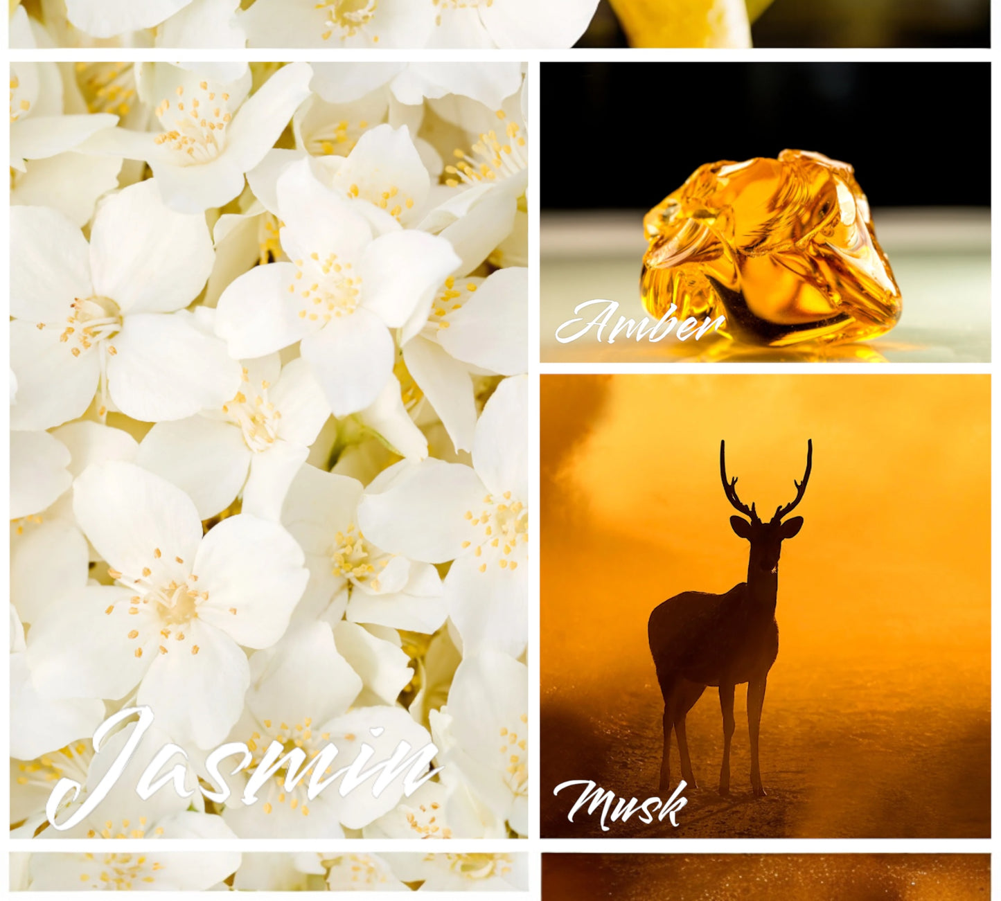 Parfumkerze - Duftzwilling - "inspiriert von Baccarat Rouge“