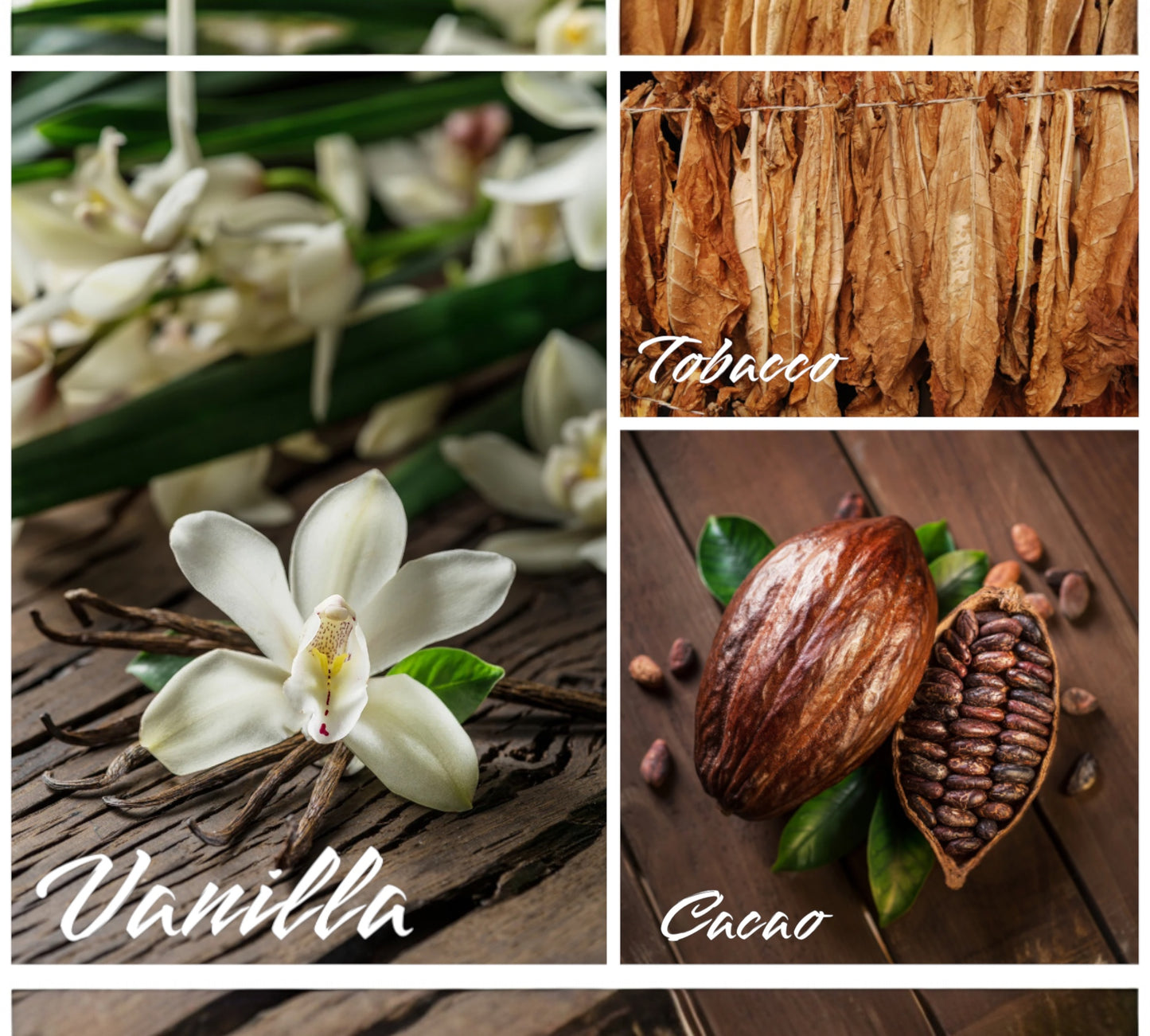 Raumduft/Reed Diffuser & Roomspray - "Like Blonde Tobacco"
