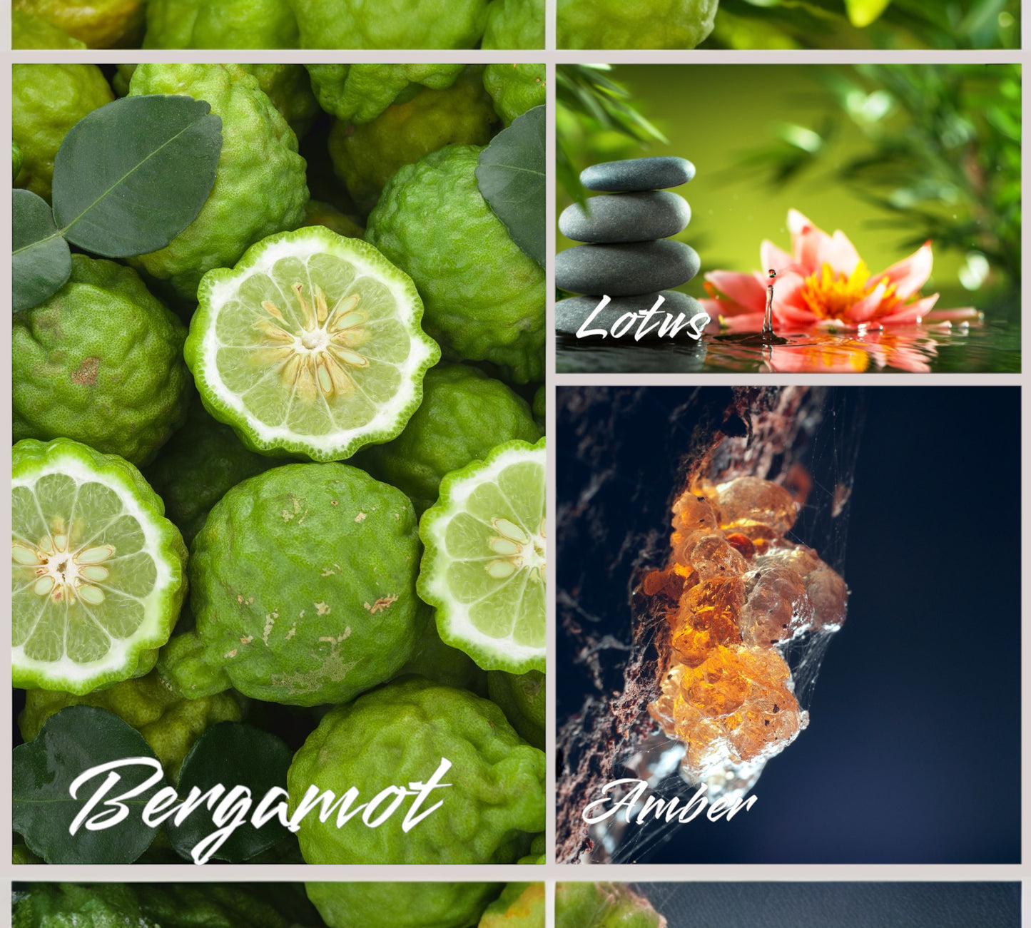 Raumduft/Reed Diffuser & Roomspray - "Like Euphoria"