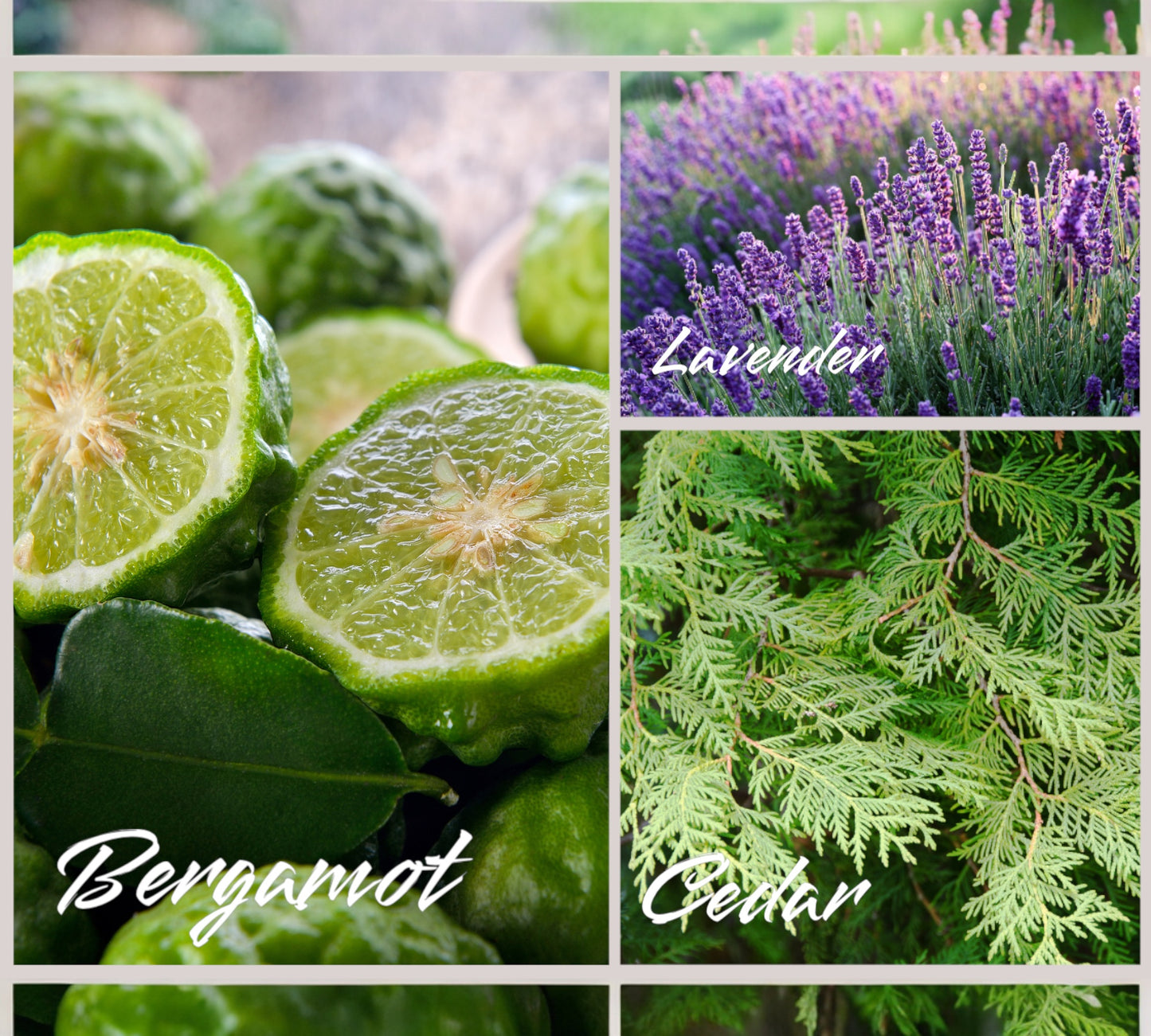 Parfumkerze - Duftzwilling - „inspiriert von Sauvage“