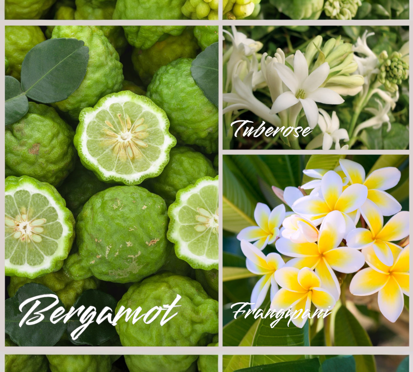 Parfumkerze - Duftzwilling - "inspiriert von La Femme“