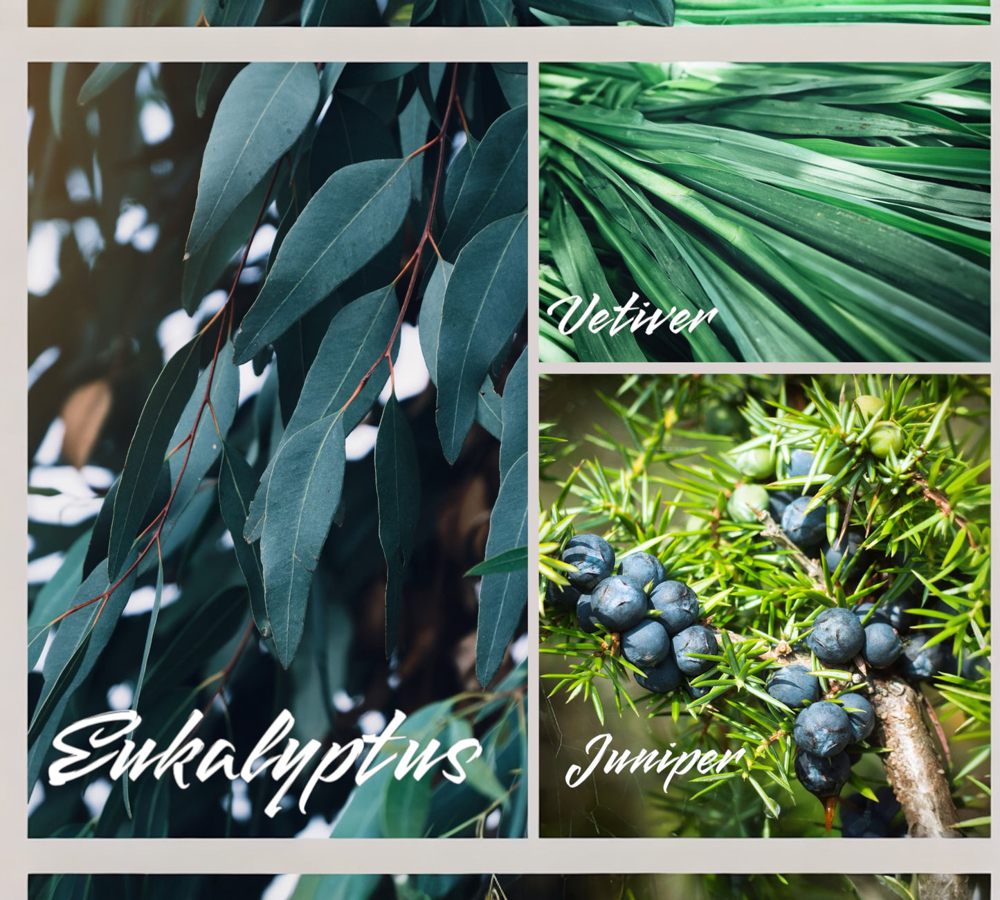 Duftkerze - Aromakerze - "Vintage & Vetiver“