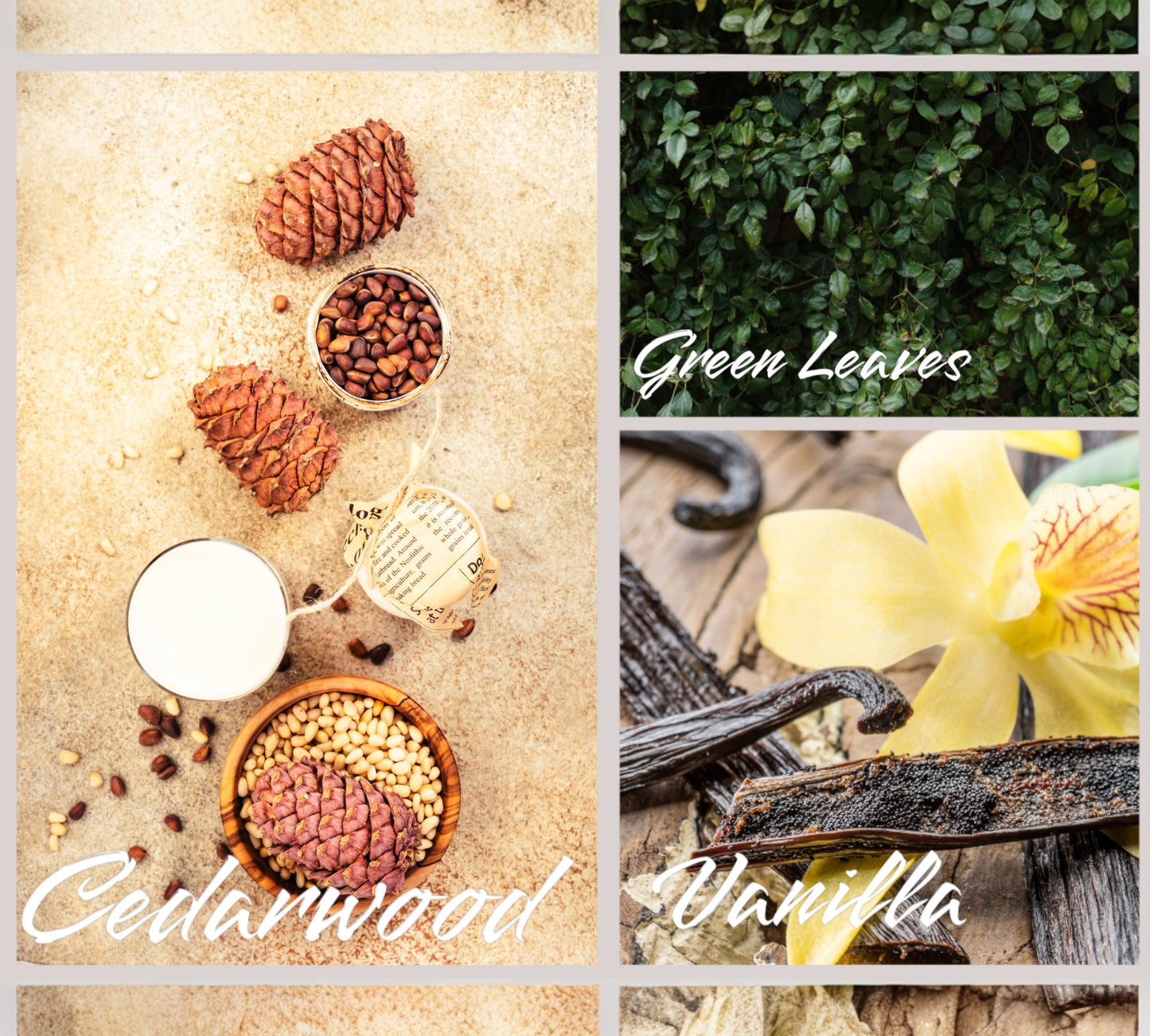 Raumduft/Reed Diffuser & Roomspray - "Cedarwood & Vanilla"
