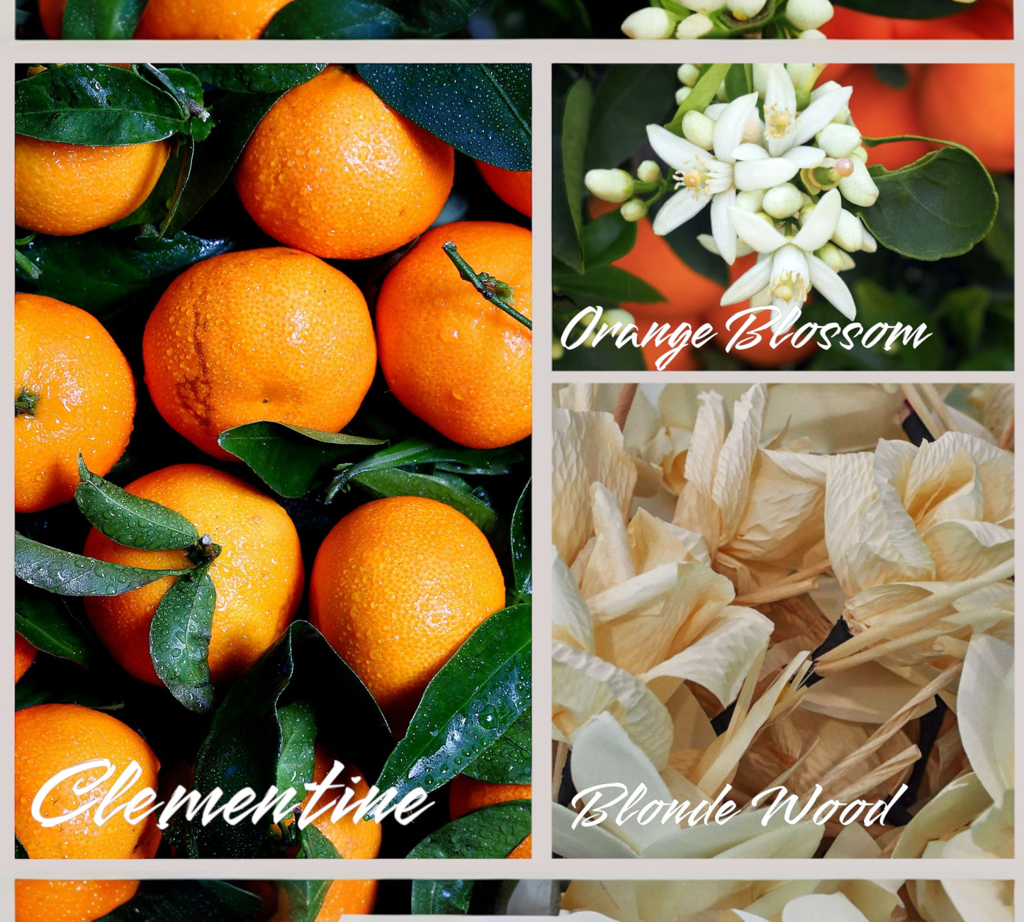 Raumduft/Reed Diffuser & Roomspray - "Clementine Sunrise"