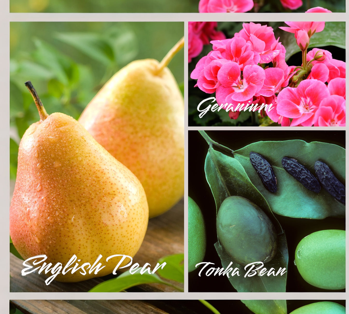 Duftkerze - Aromakerze - "English Pear and Freesia“