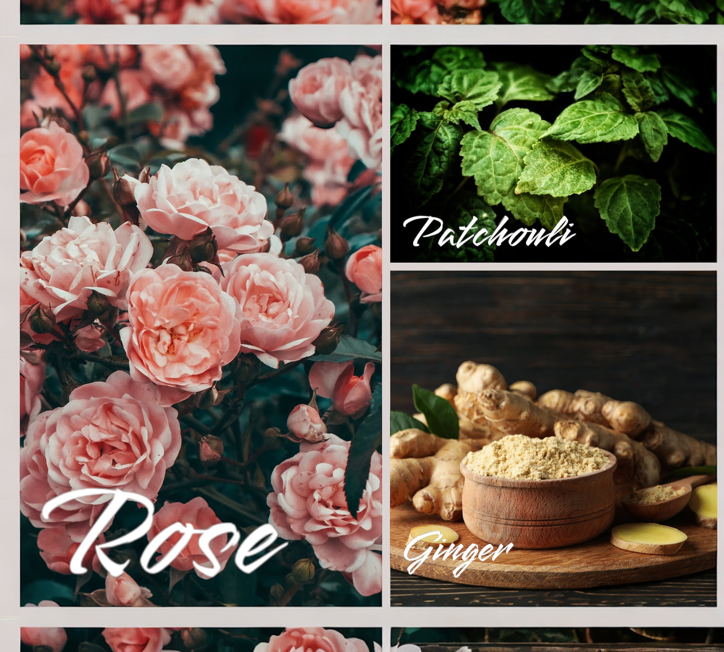 Parfumkerze - Duftzwilling  - "inspiriert von Tudor Rose and Amber“